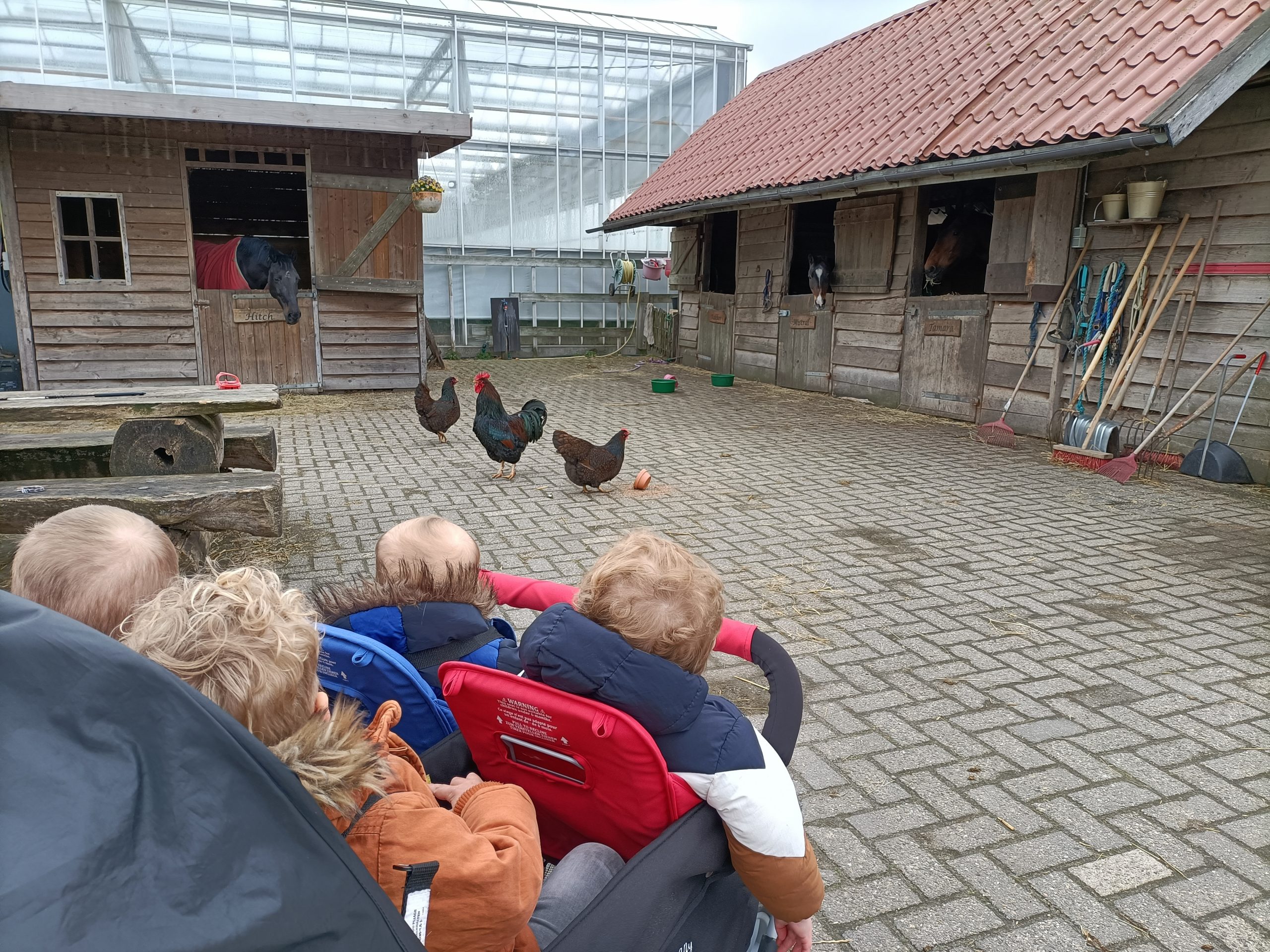 boerderij