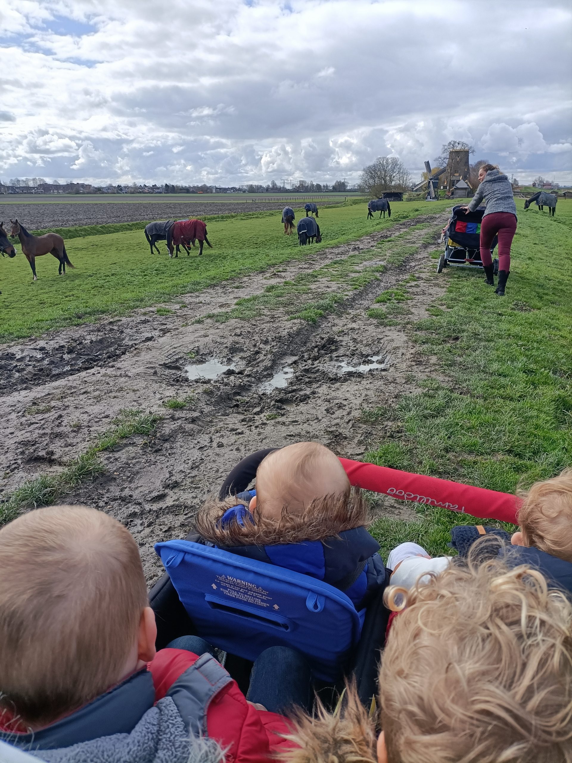 modderwandeling