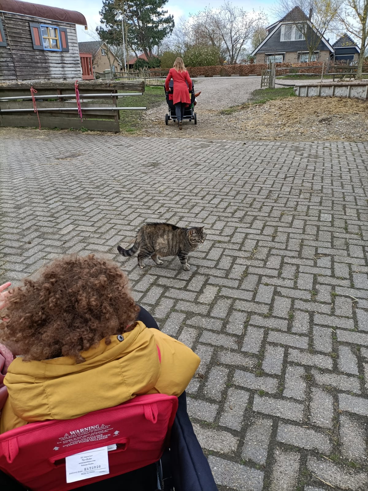 wandelen